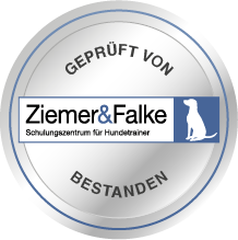 Qualifikation Hundetrainer