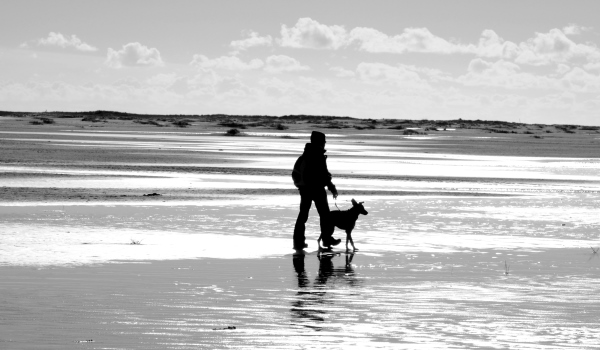 Spaziergang mit Hund an lockerer Leine