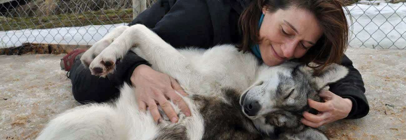 Hundetraining Schöneck