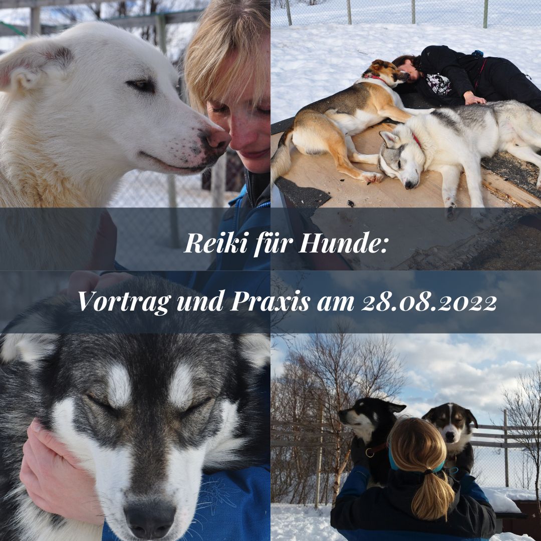 Reiki Bild