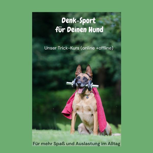 Denk-Sport für Deinen Hund – 1