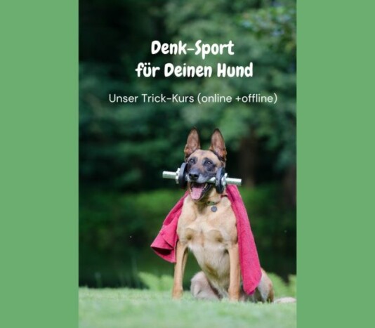 Denk-Sport für Deinen Hund – 1 Tricks mit Hund
