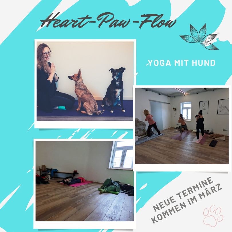 Yoga mit Hund Heart-Paw-Flow
