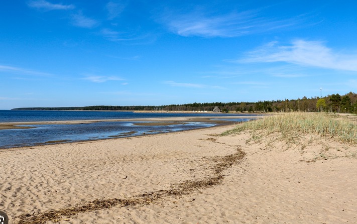 Ostsee-Strand